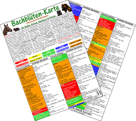 Bachblüten-Karten für Hunde, Katzen, Kleintiere & Pferde - organische Erkrankungen -