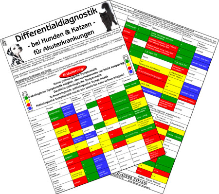 Differentialdiagnostik bei Hunden & Katzen für Akuterkrankungen