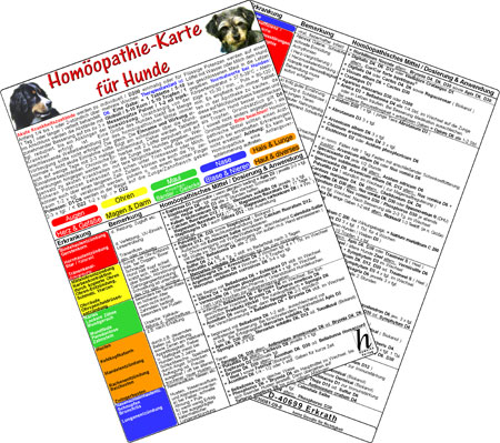 Homöopathie für Hunde
