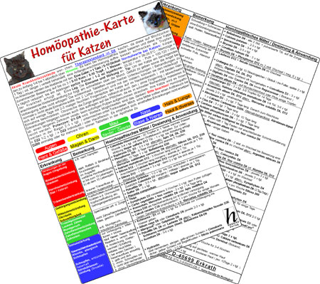 Homöopathie für Katzen