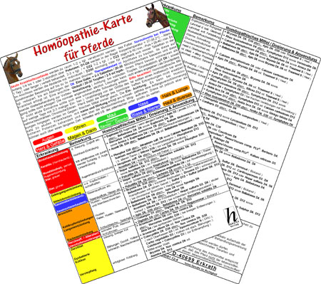 Homöopathie für Pferde