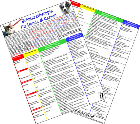 Homöopathische Schmerztherapie für Hunde & Katzen