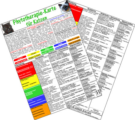 Phytotherapie-Karte für Katzen