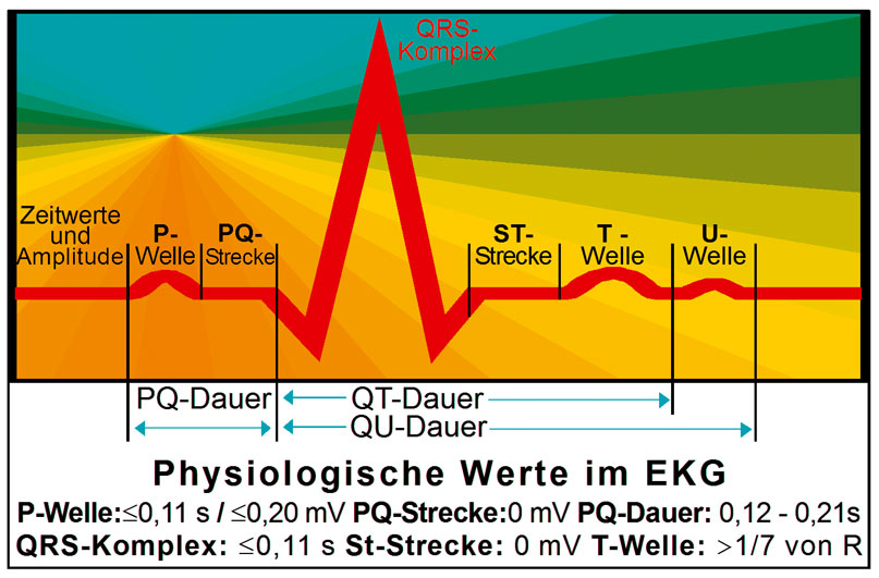 EKG Lineal professional II