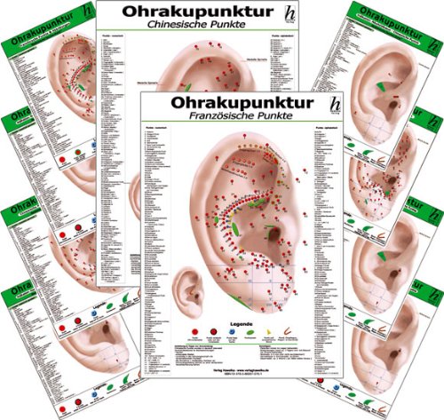 Ohrakupunktur -professional- Set XL (laminiert) (76er Karten Set)