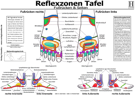 Fußreflexzonen Tafel - Fußrücken & Seiten (laminiert) DIN A3