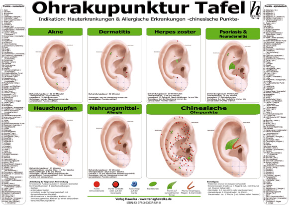 Ohrakupunktur Tafel - Indikation: Hauterkrankungen & Allergische Erkrankungen (laminiert) DIN A3