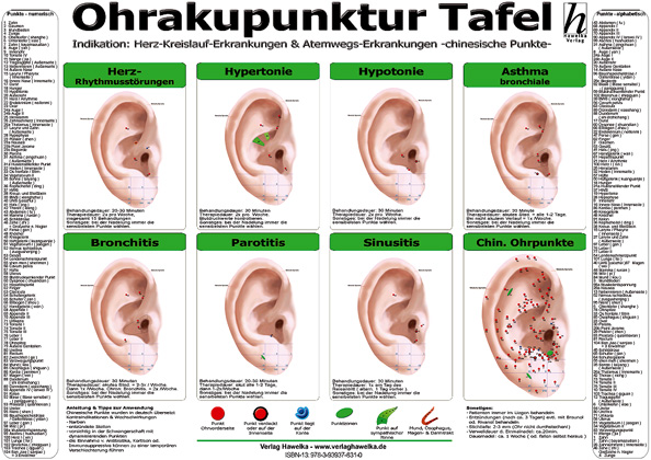 Ohrakupunktur Tafel - Indikation: Herz-Kreislauf-Erkrankungen & Atemwegs-Erkrankungen (laminiert) DIN A3