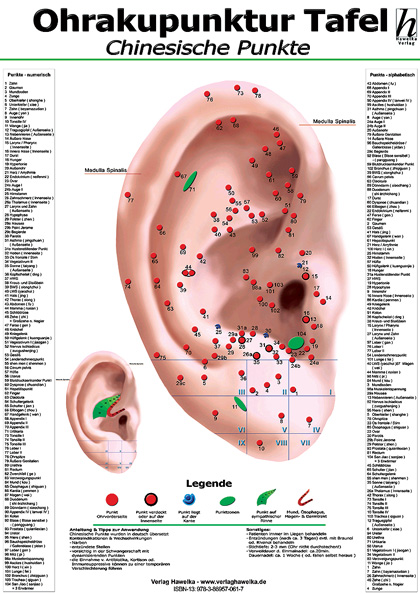 Ohrakupunktur-Tafel - chinesische Punkte (laminiert) DIN A3
