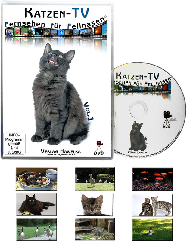Katzen-TV - Fernsehen für Fellnasen - Vol. 1 - Der ultimative Katzenspaß !