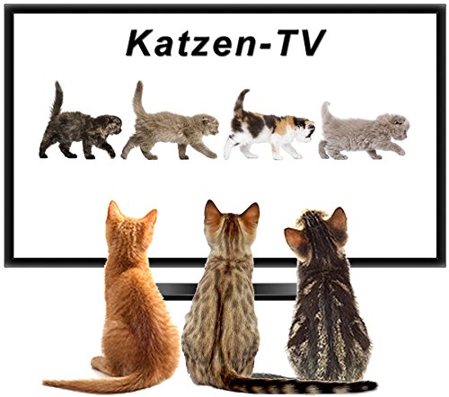 Katzen-TV - Fernsehen für Fellnasen - Vol. 2 - Der ultimative Katzenspaß !
