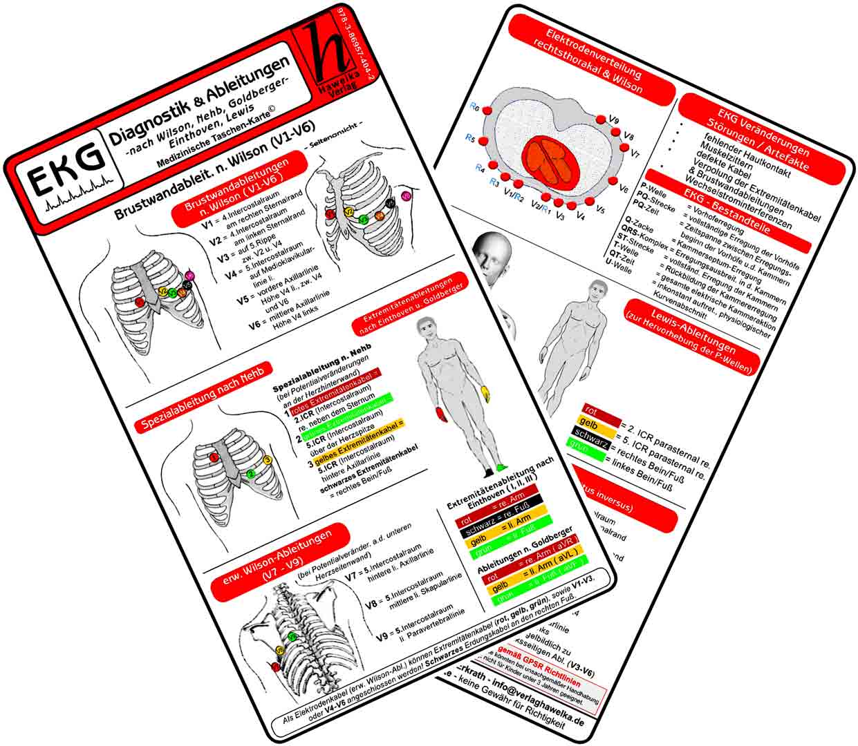 EKG Diagnostik & Ableitungen – 2025