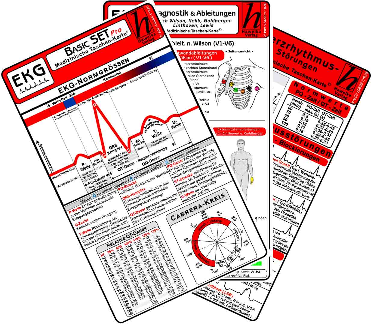 EKG Basic Set - PRO - 2025