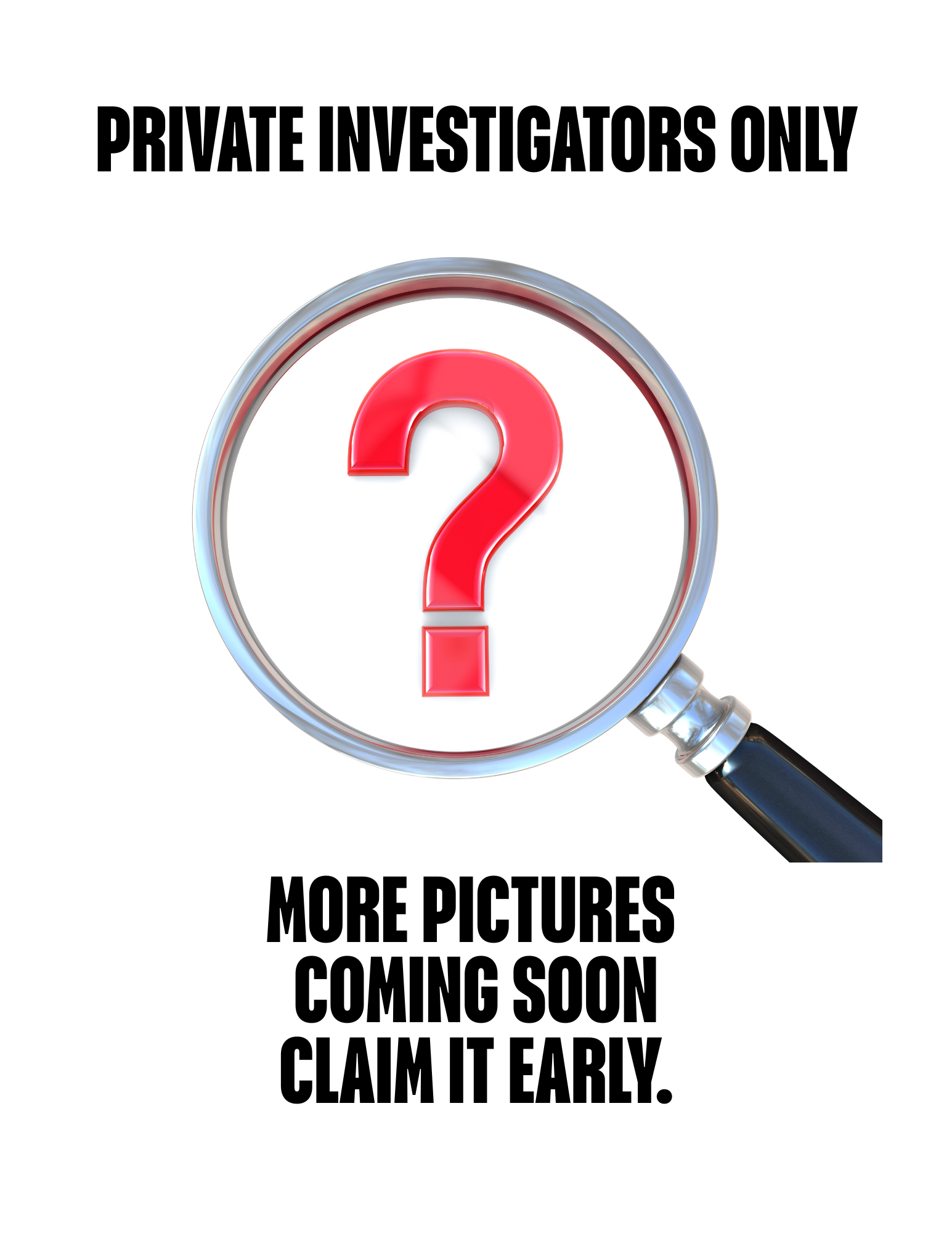 Detectives Warehouse