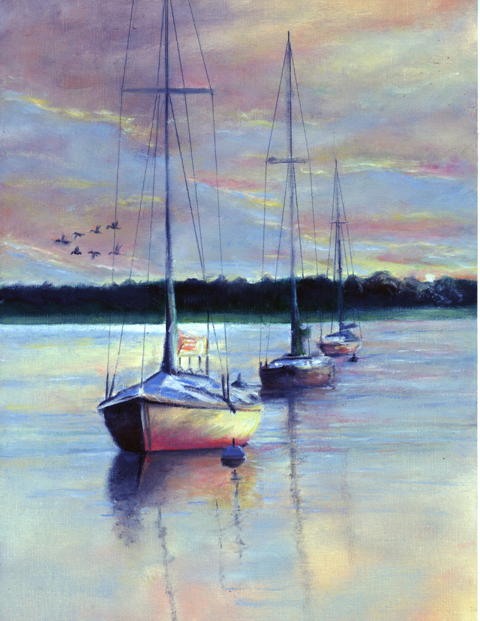 The Harbour