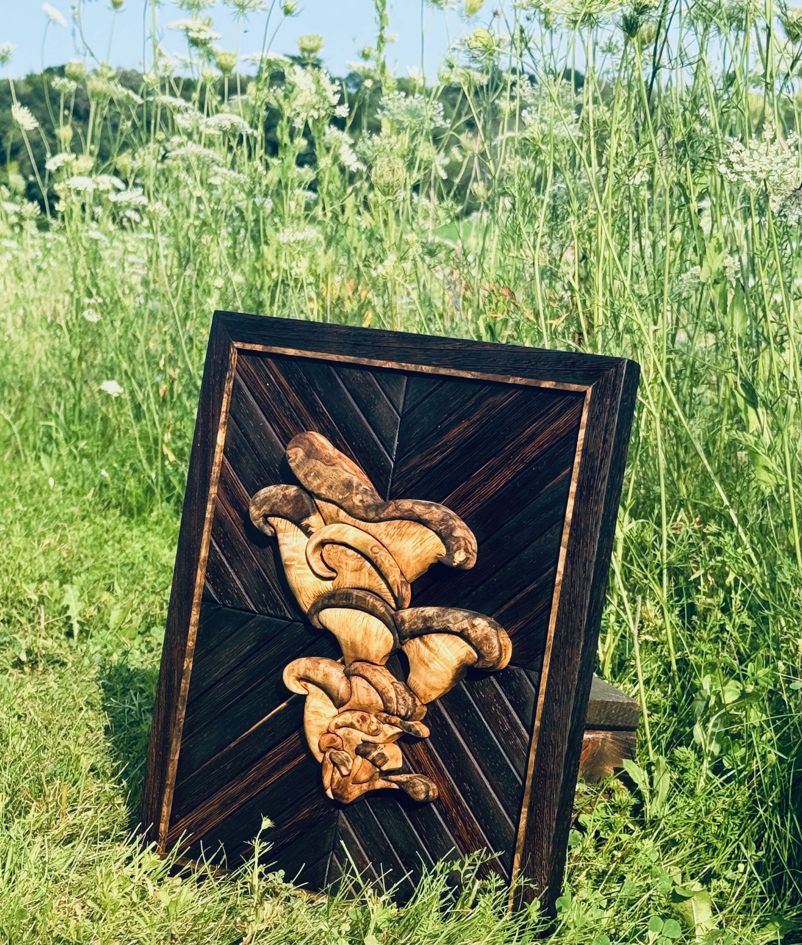 Spores of Salene 