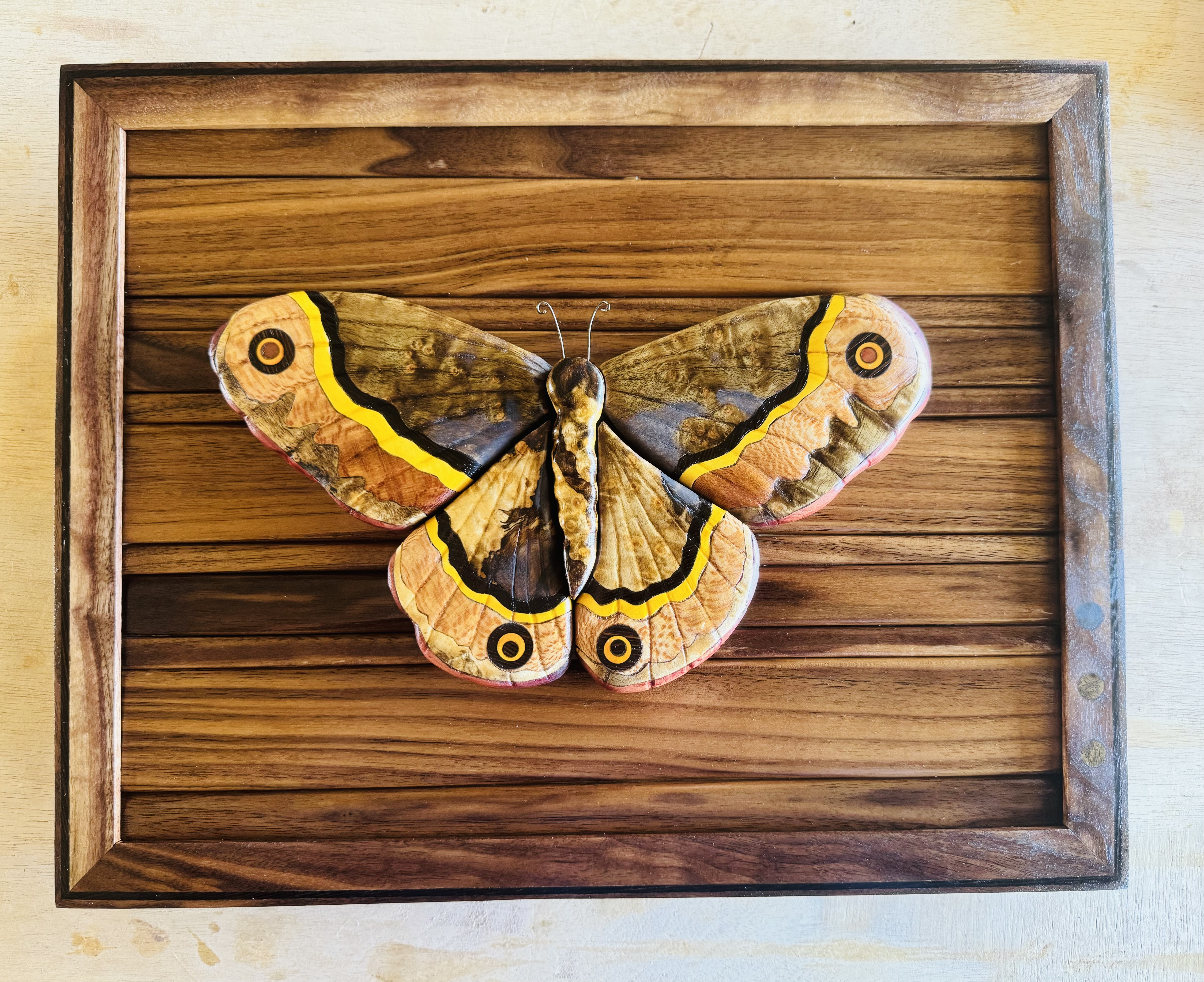 Emporer Moth Wood Art 