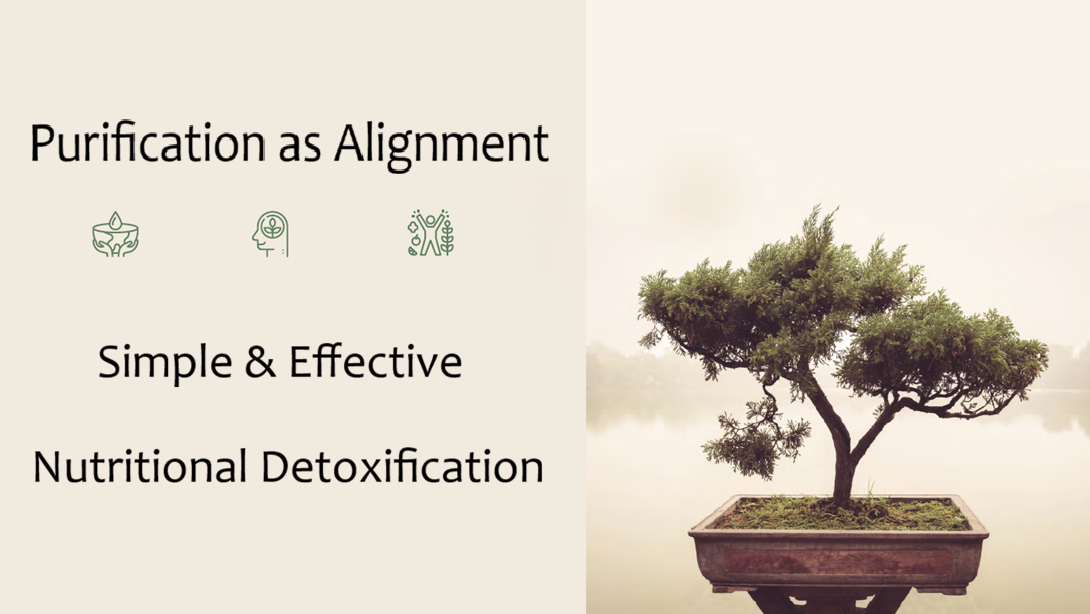 Nutritional Detoxification and Purification Guide