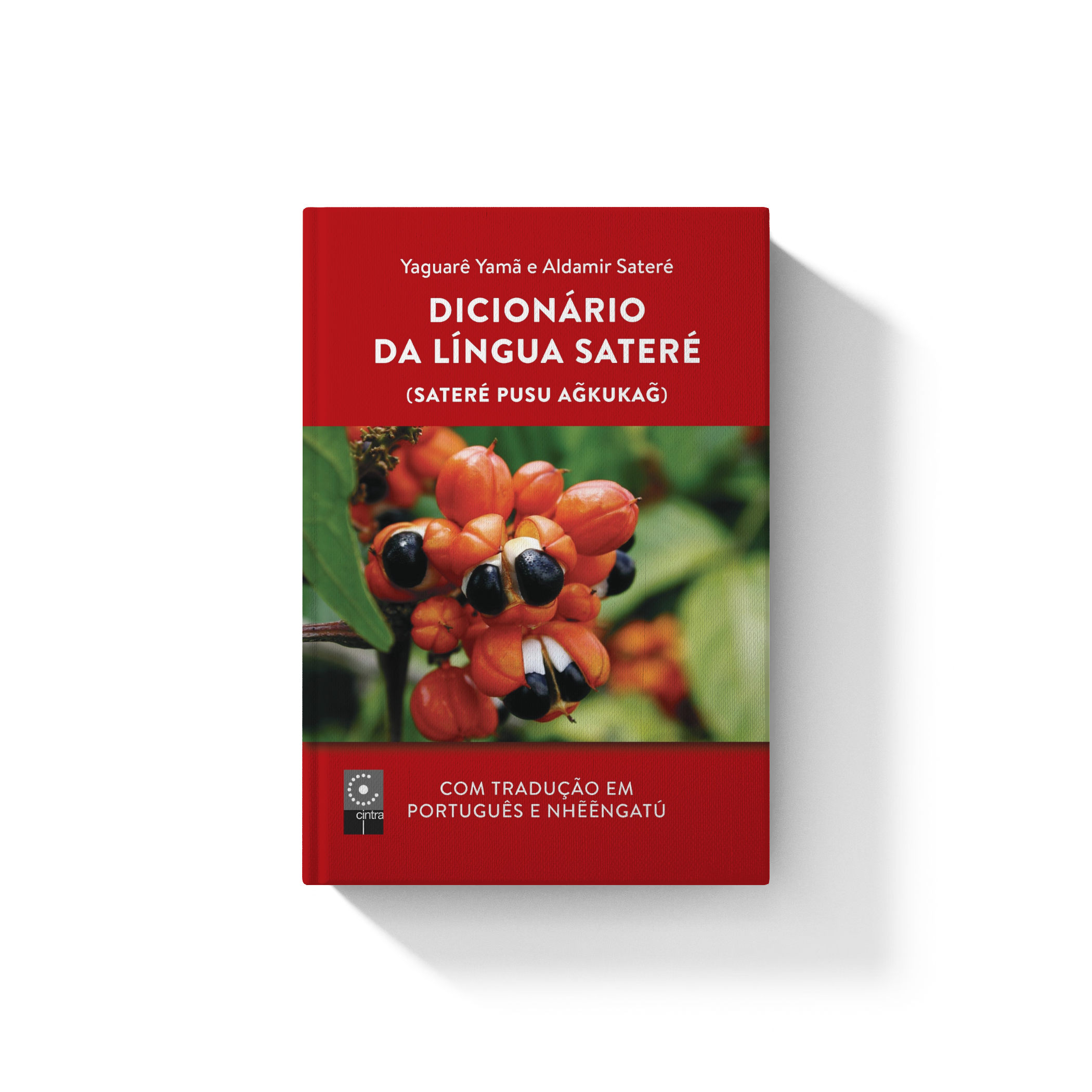 Dicionário da Língua Sateré