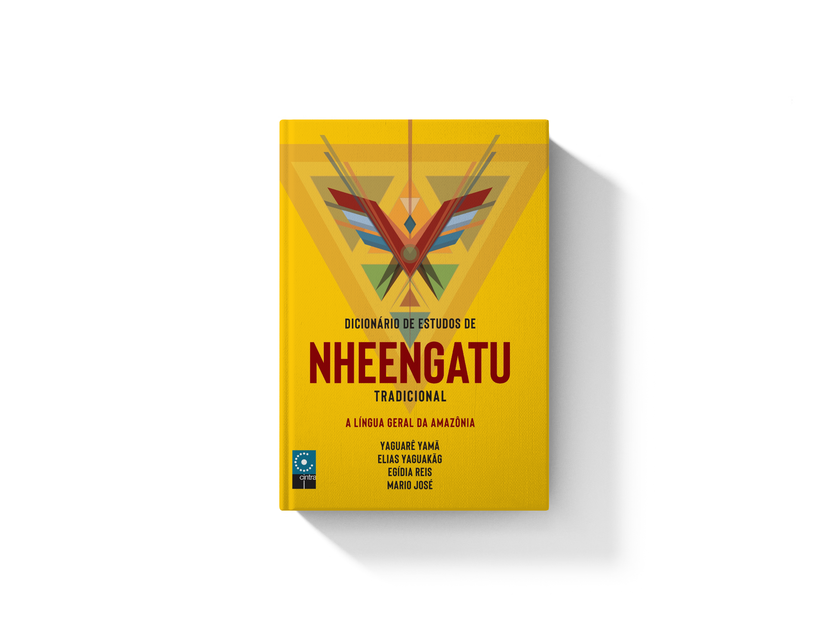 Dicionário de Estudos de Nheengatu Tradicional