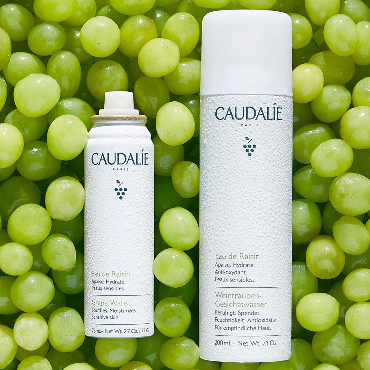CAUDALÍE GRAPE WATER