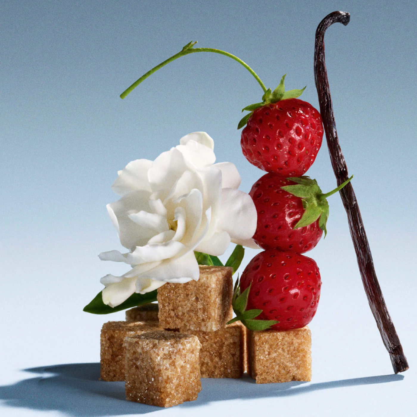 MIU MIU MIUTINE EAU DE PARFUM GIFT SET 