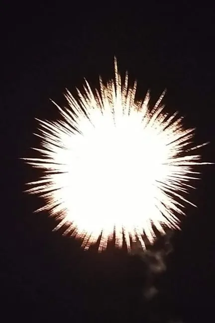 Large Shell (ලොකු ශෙල්)