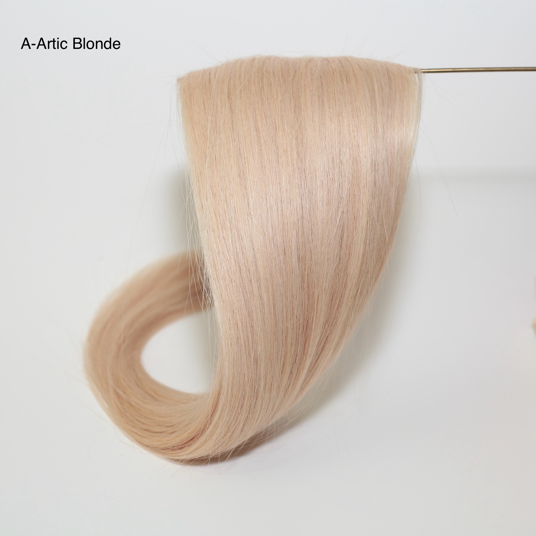 A-Artic Blonde