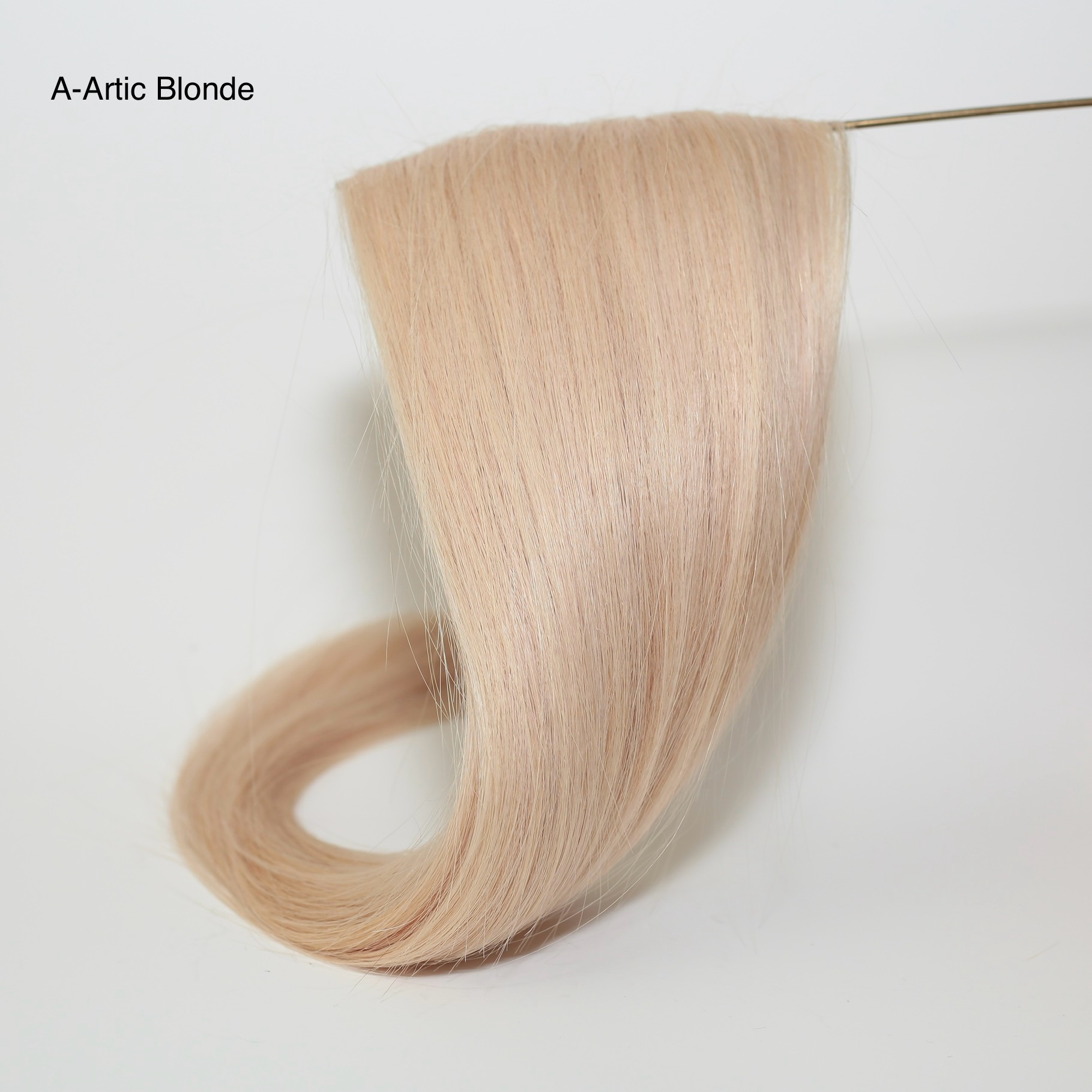 A-Artic Blonde
