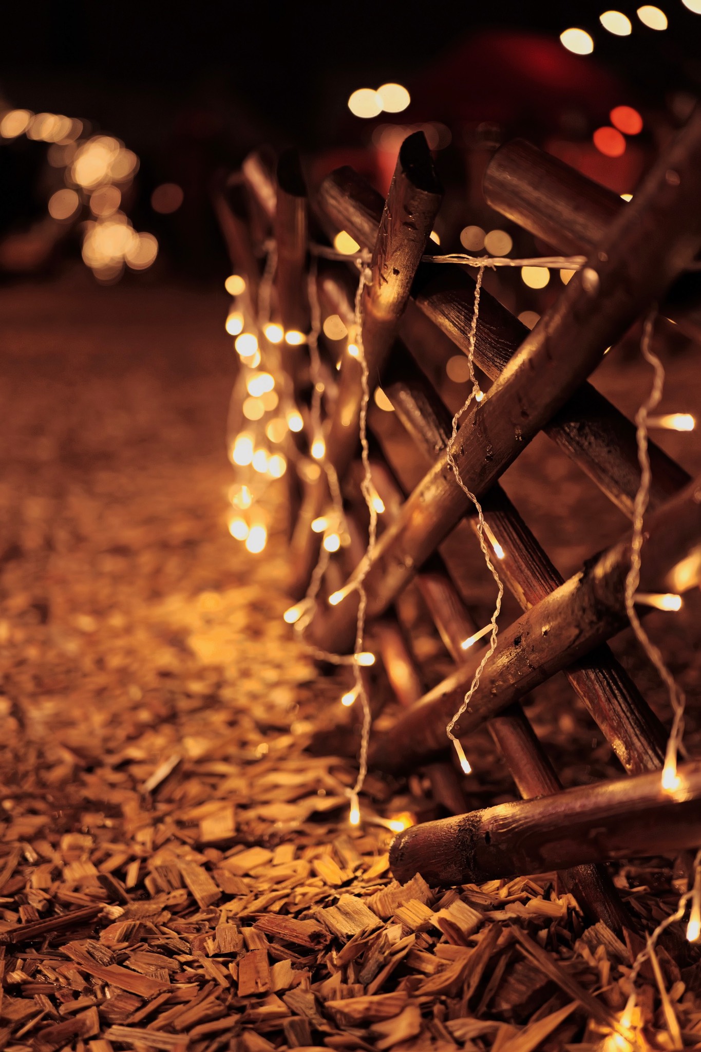 Weihnachtsminis 2025