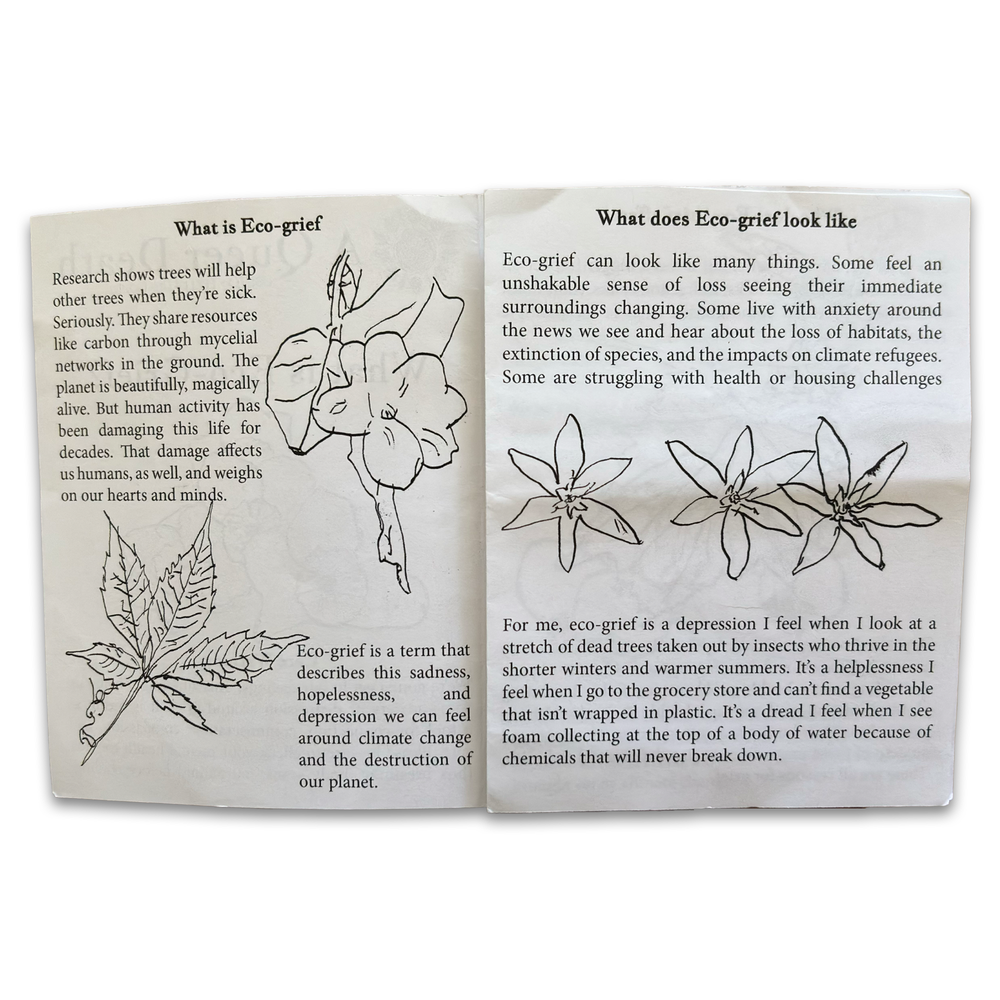 "What Is Eco-Grief" Physical Zine