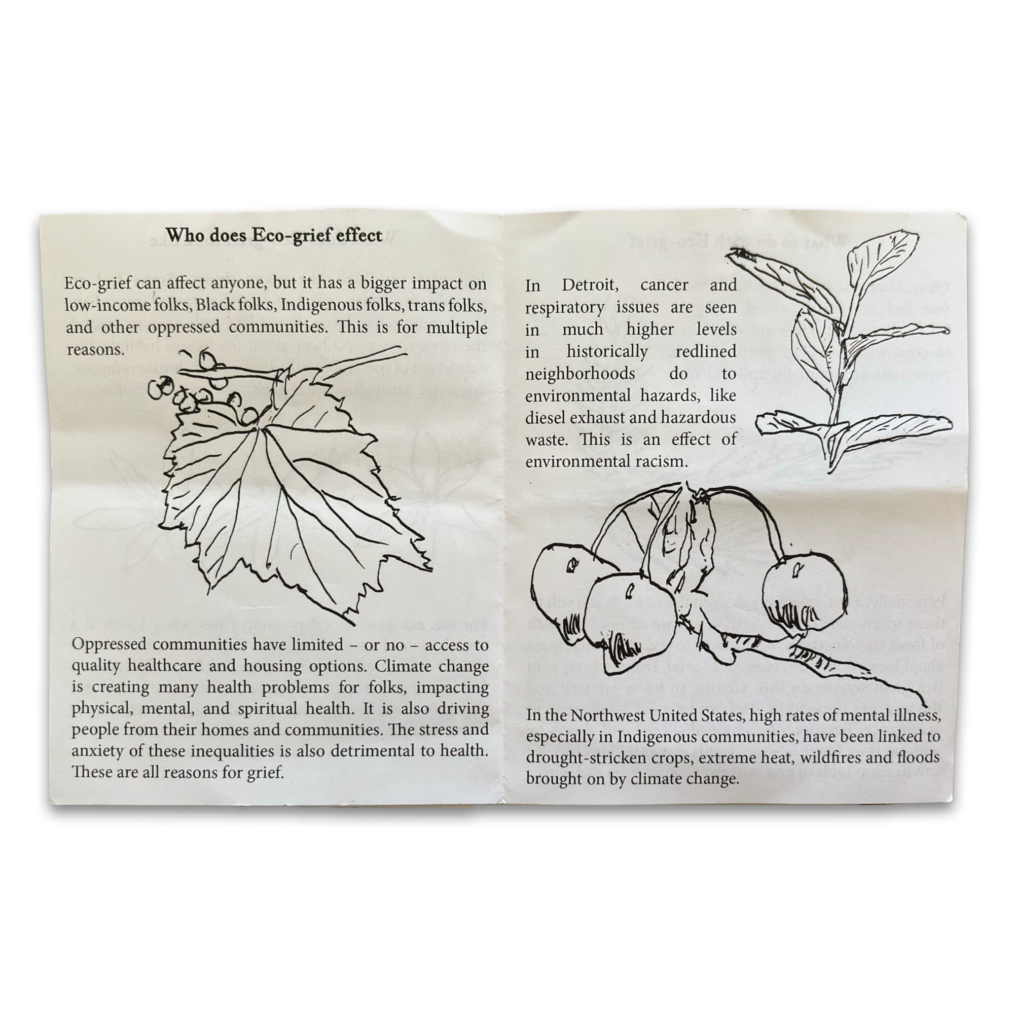 "What Is Eco-Grief" Physical Zine