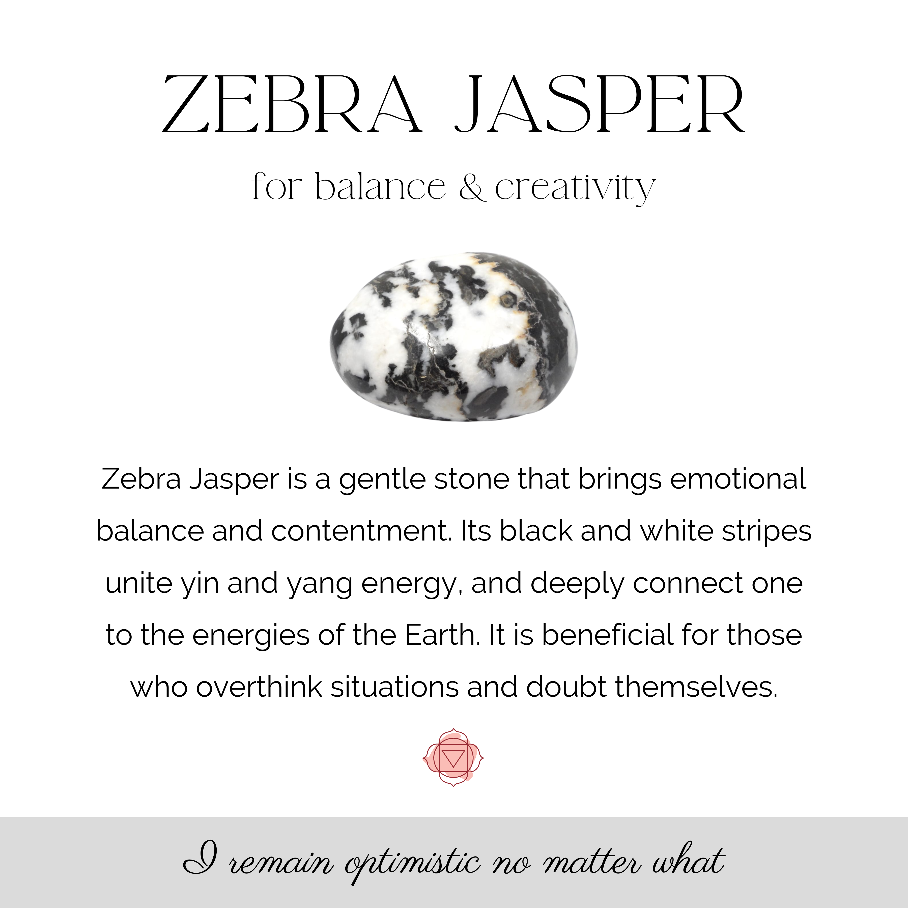 Black Zebra Jasper