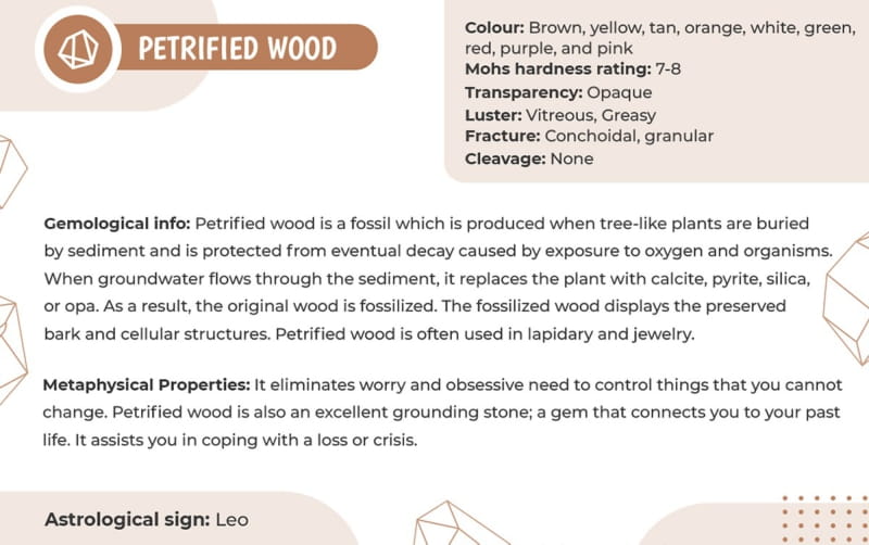 Carnelian, Red Line Jasper & Petrified Wood Jasper Antique Copper Lotus Flat Charm 8mm