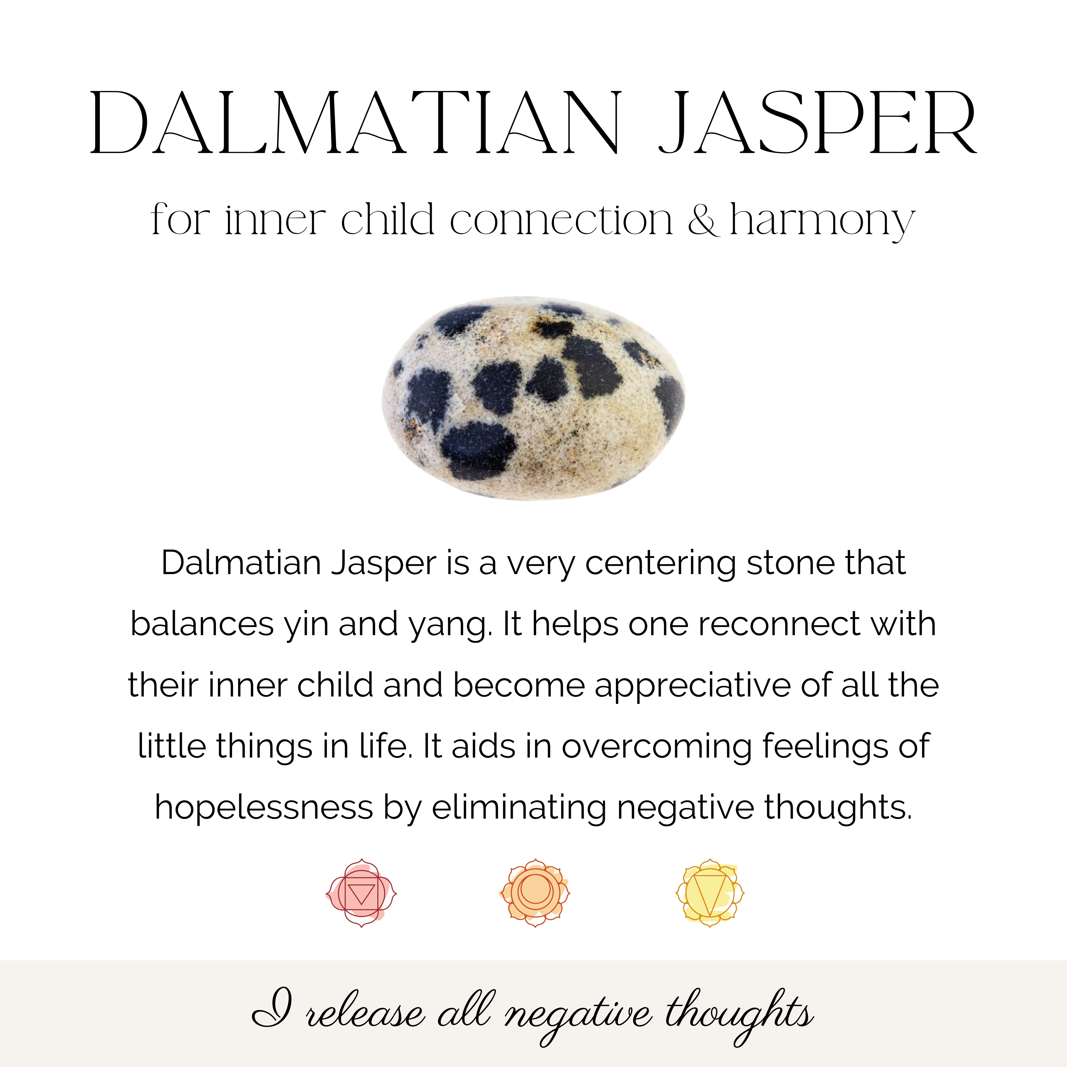 Dalmatian Jasper Solid 8mm Poilshed