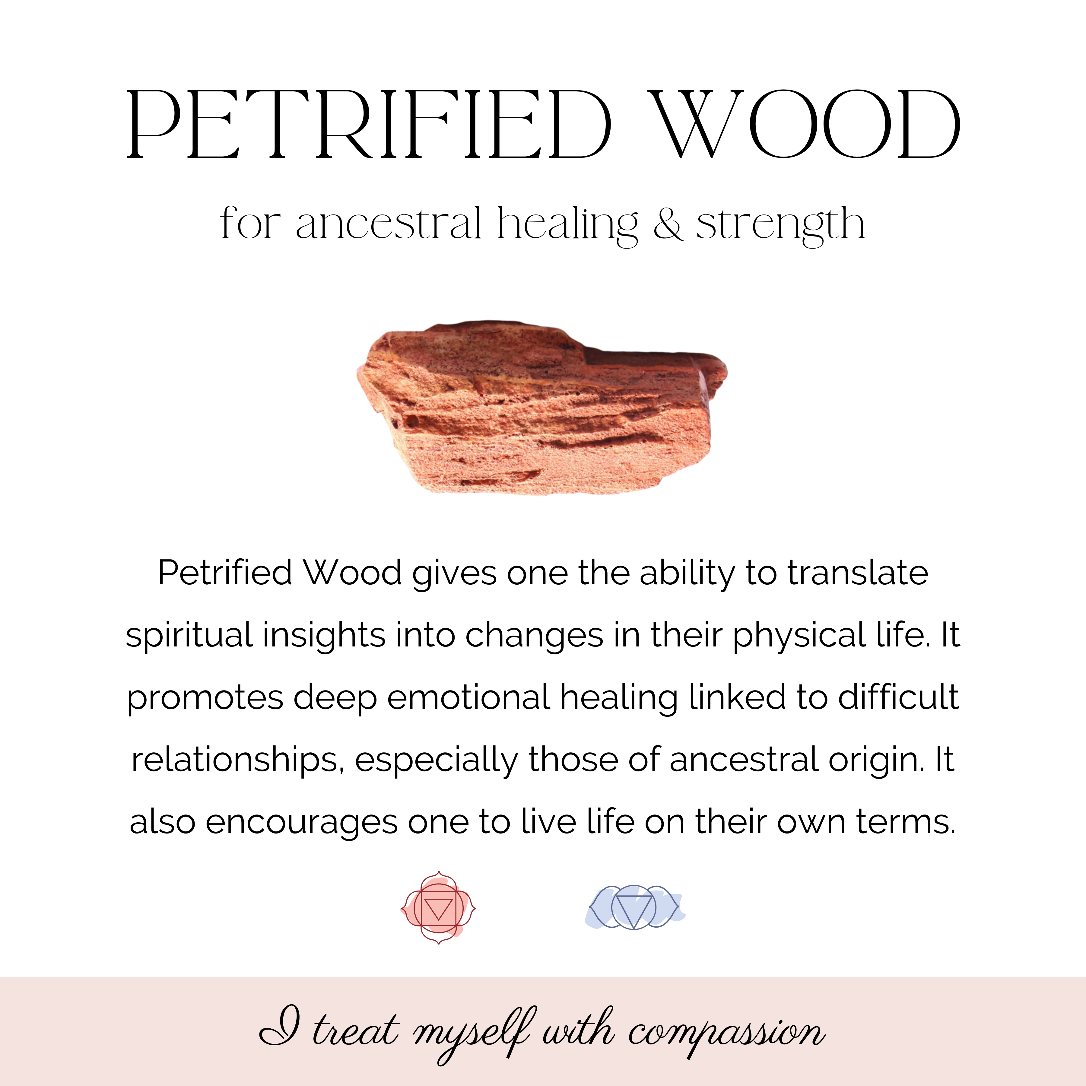 Petrified Wood Jasper Frosted 4-6mm