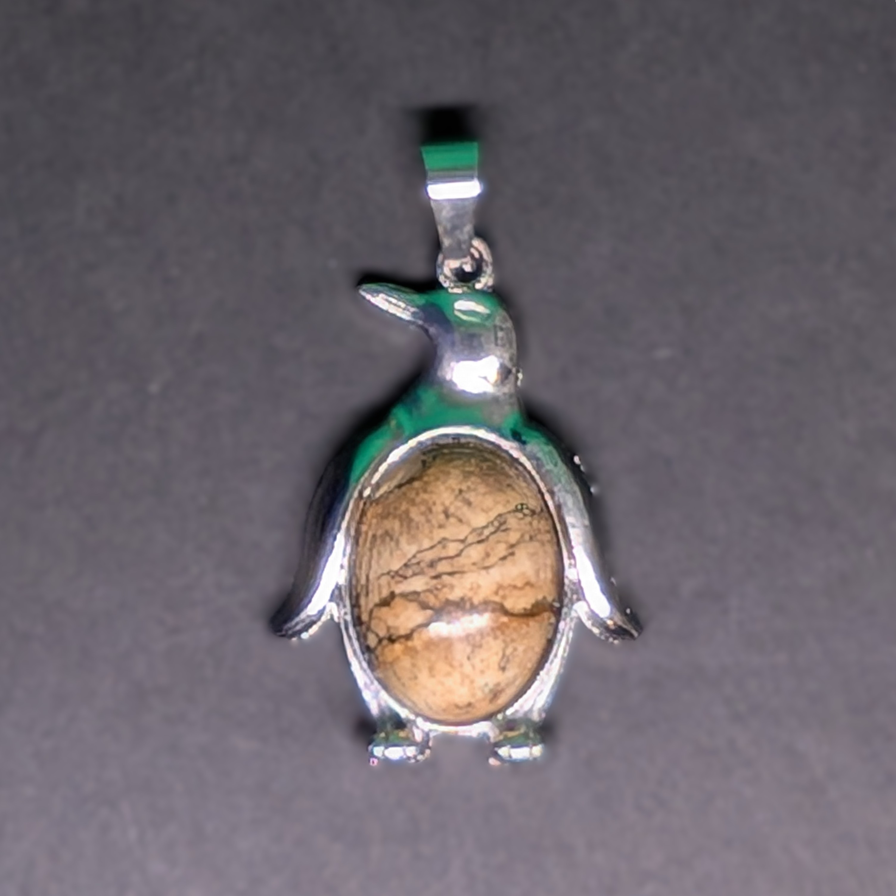 Metal and Stone Penguin Pendant Picture Jasper