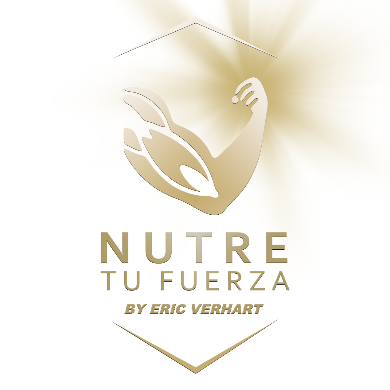 PROGRAMA REHABILITACIÓN DE LESIONES