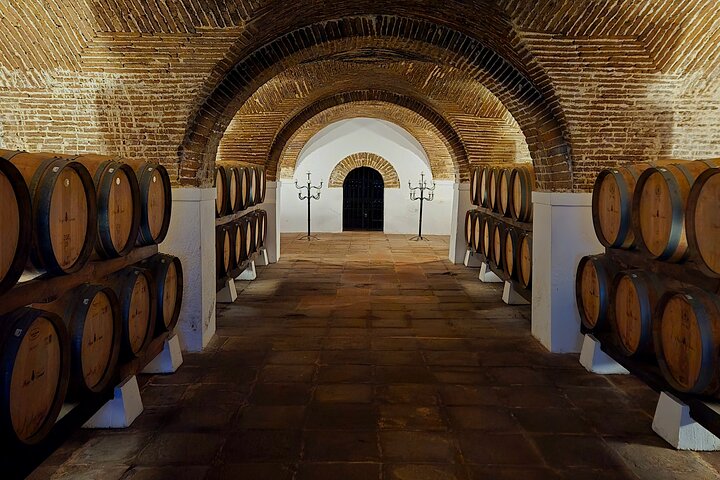 Private Tour in the Douro with Family Vineyards and Viewpoint