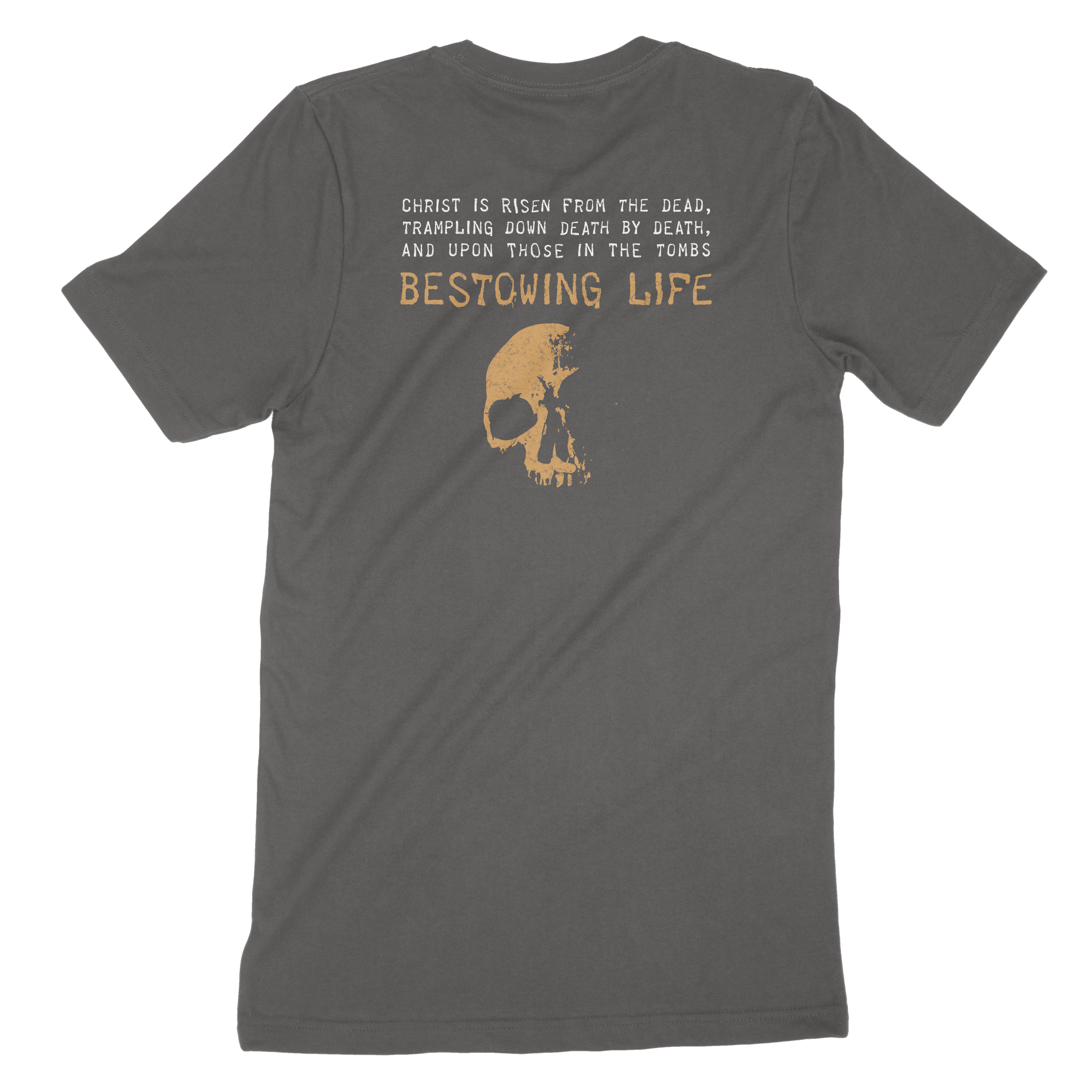 VICTORIOUS t-shirt