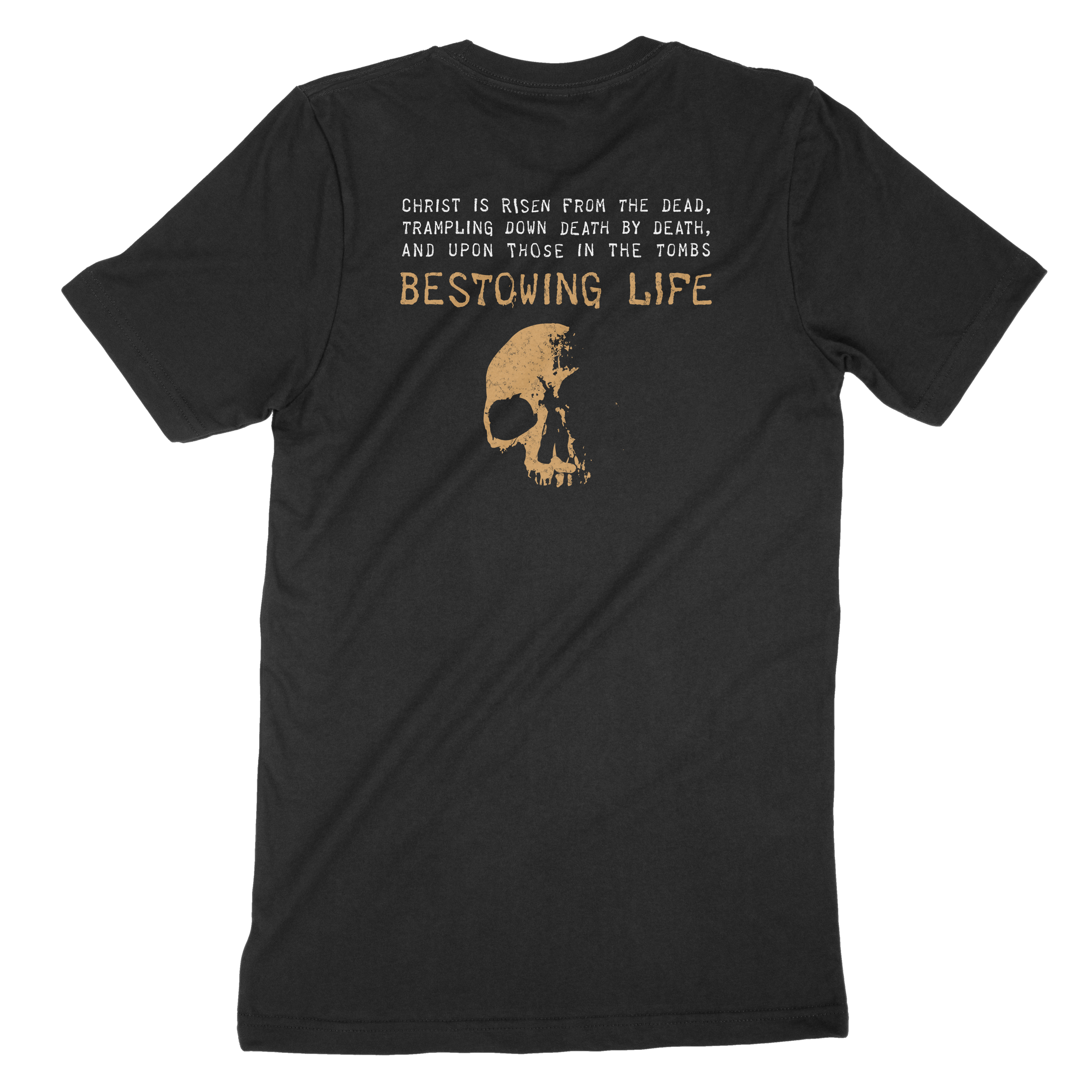 VICTORIOUS t-shirt