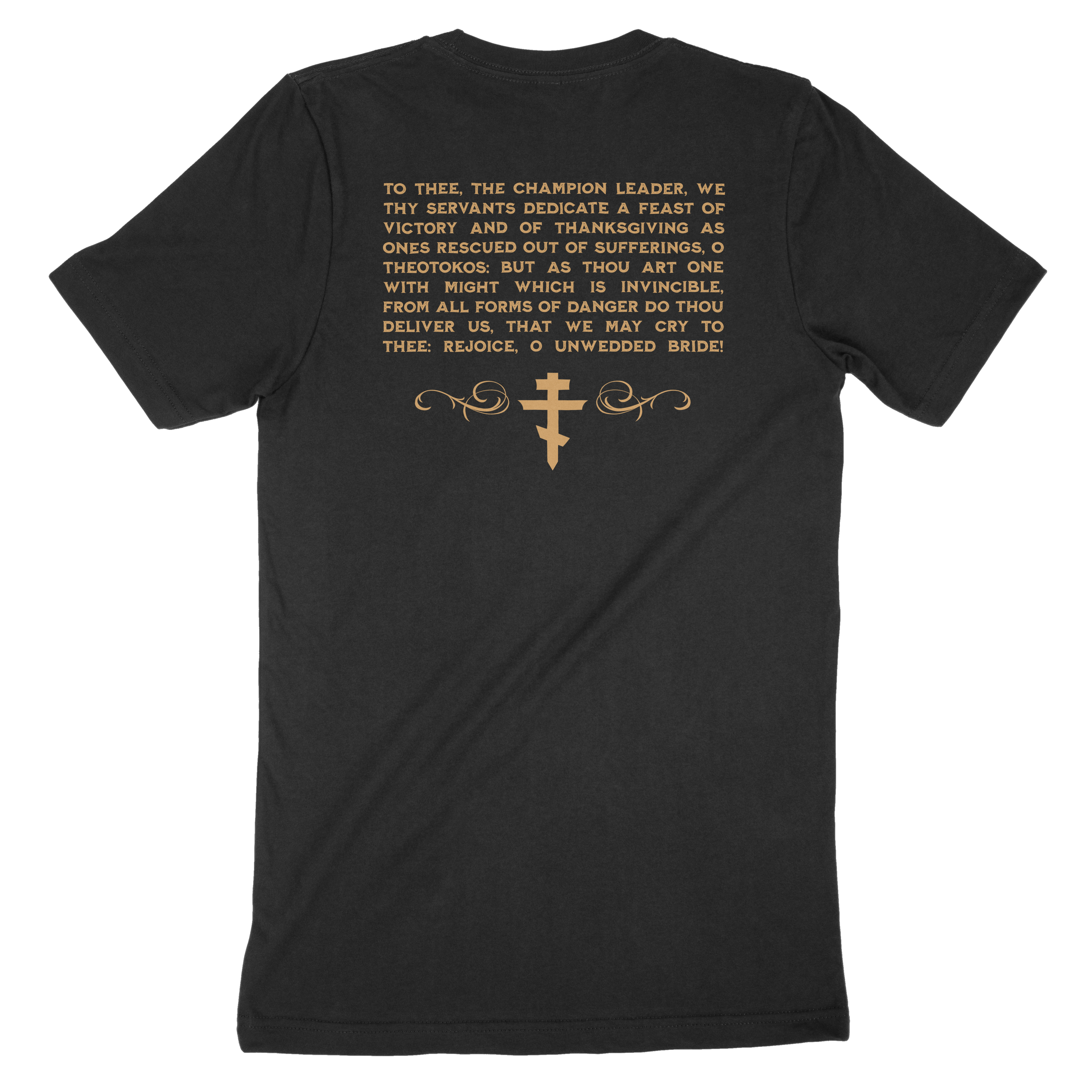 DOWNFALL OF DEMONS t-shirt