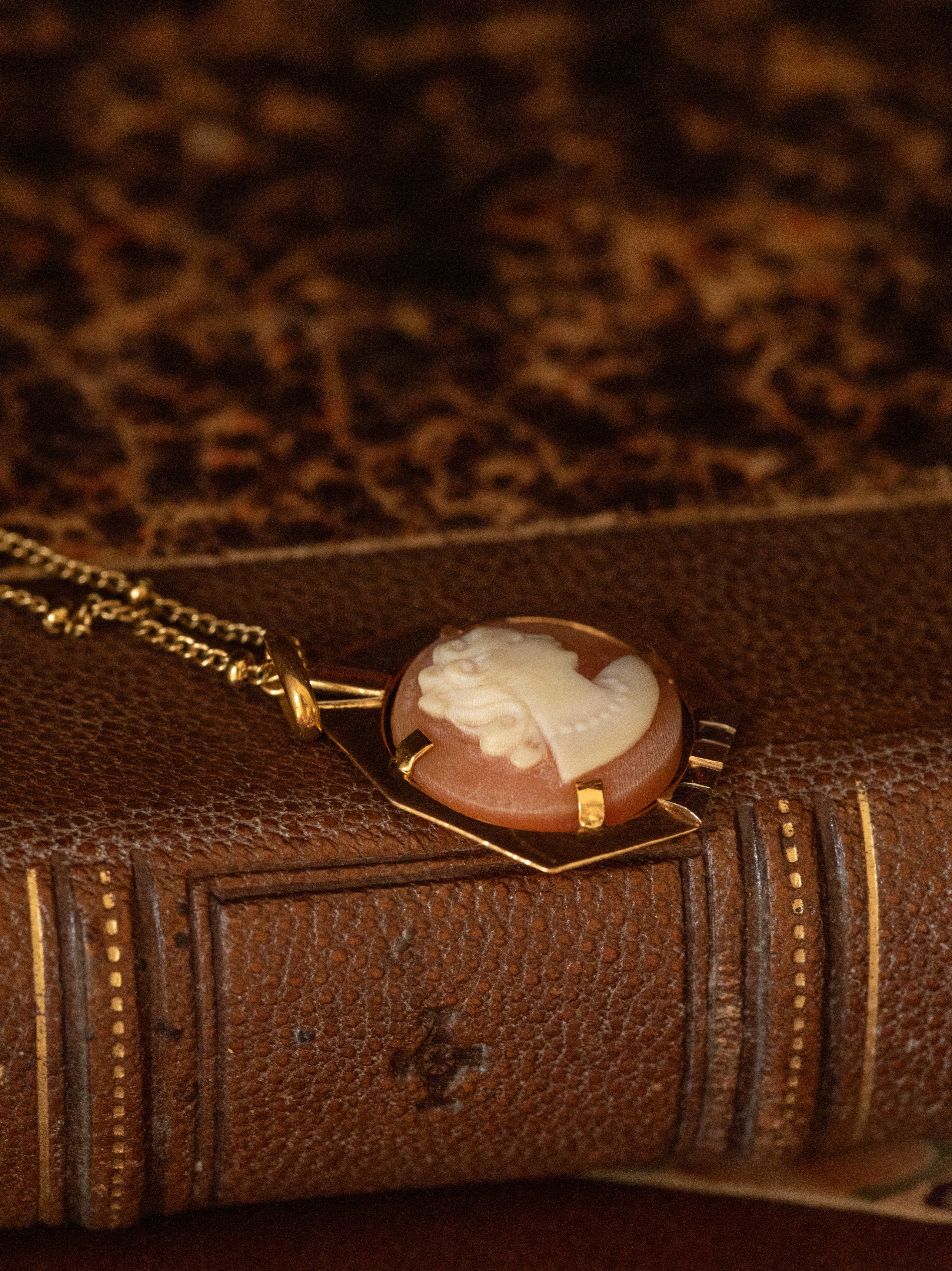 LE JAY, iconique pendentif camée Art Déco (circa 1930) en or 18 carats deux tons 💫