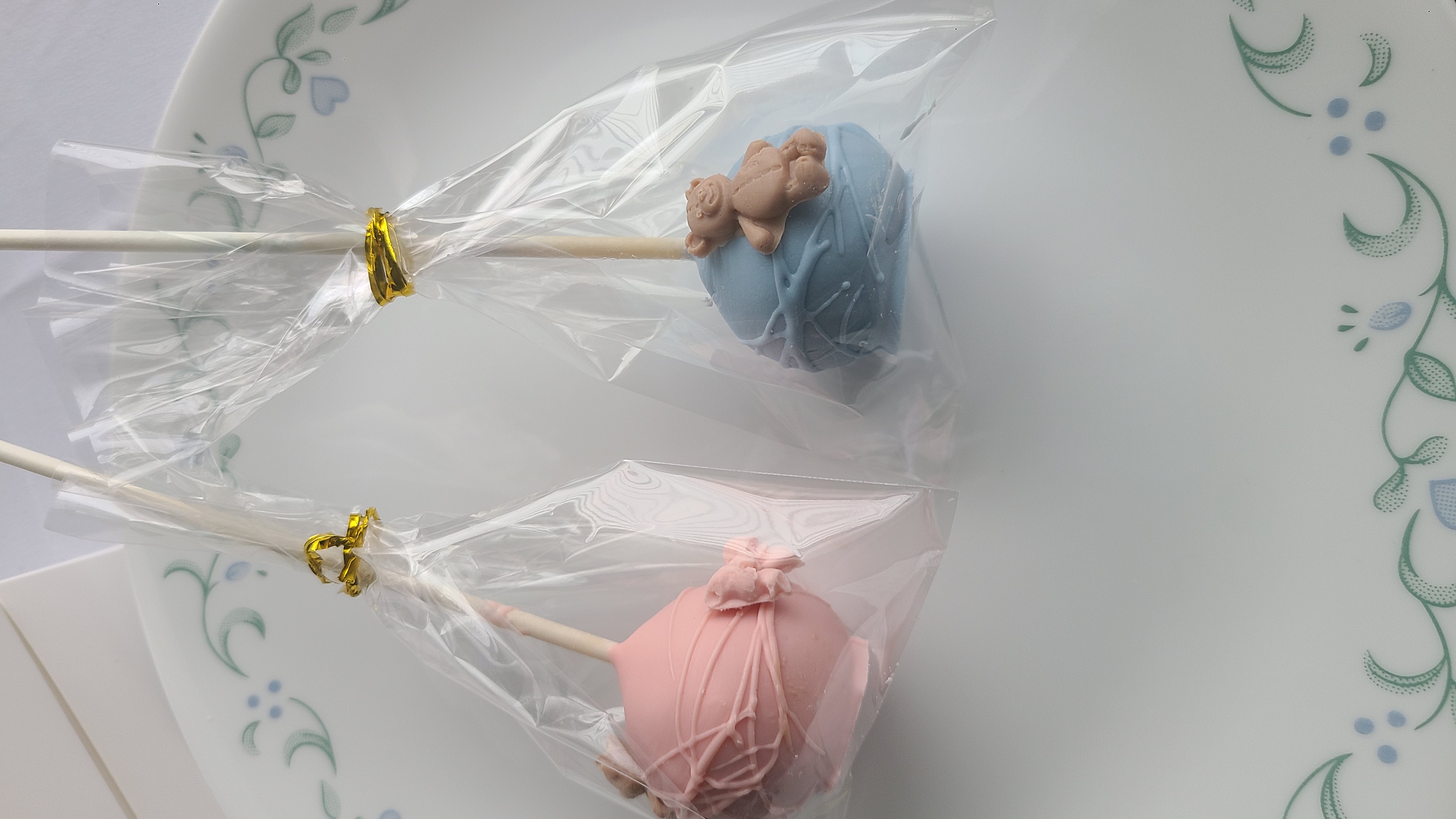Cake Pops (24)