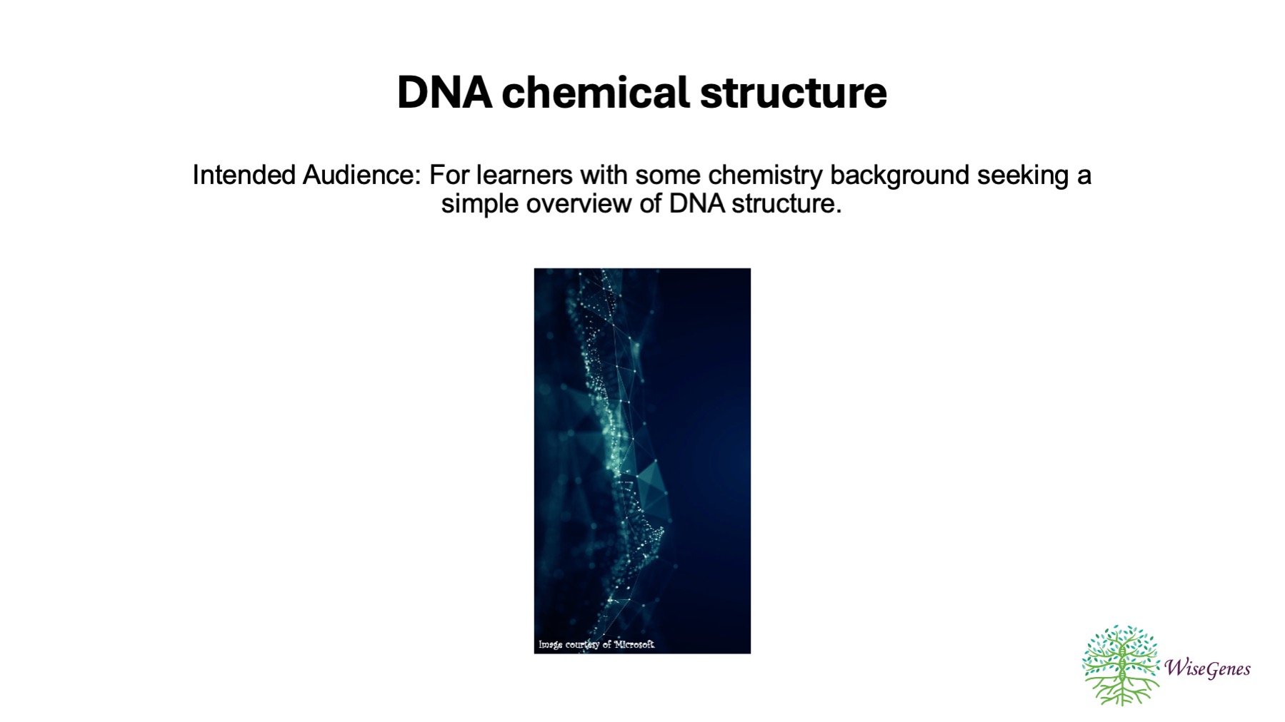 DNA Chemical Structure