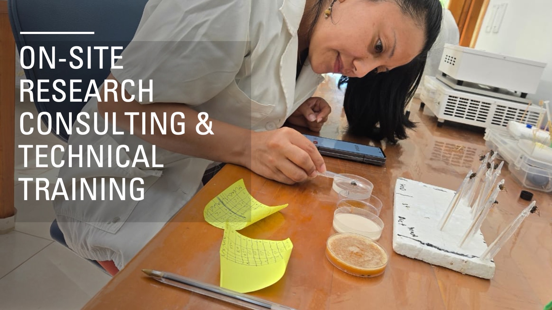 On-site Research and Consulting 
