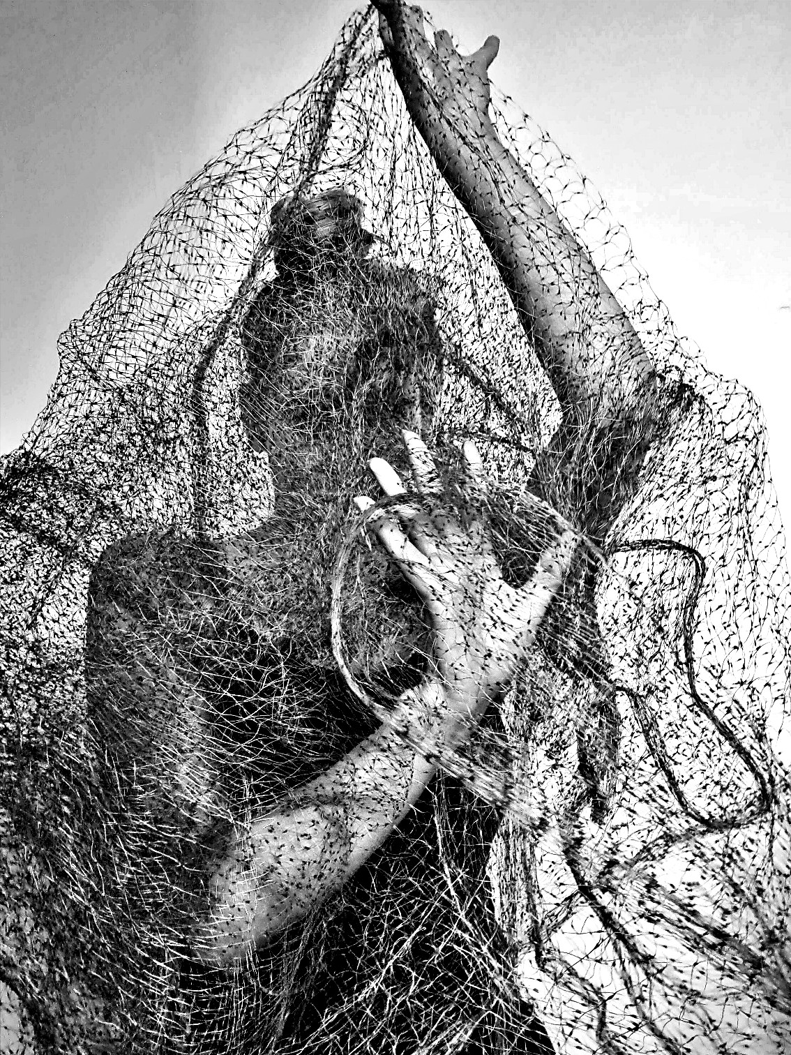 Untangle