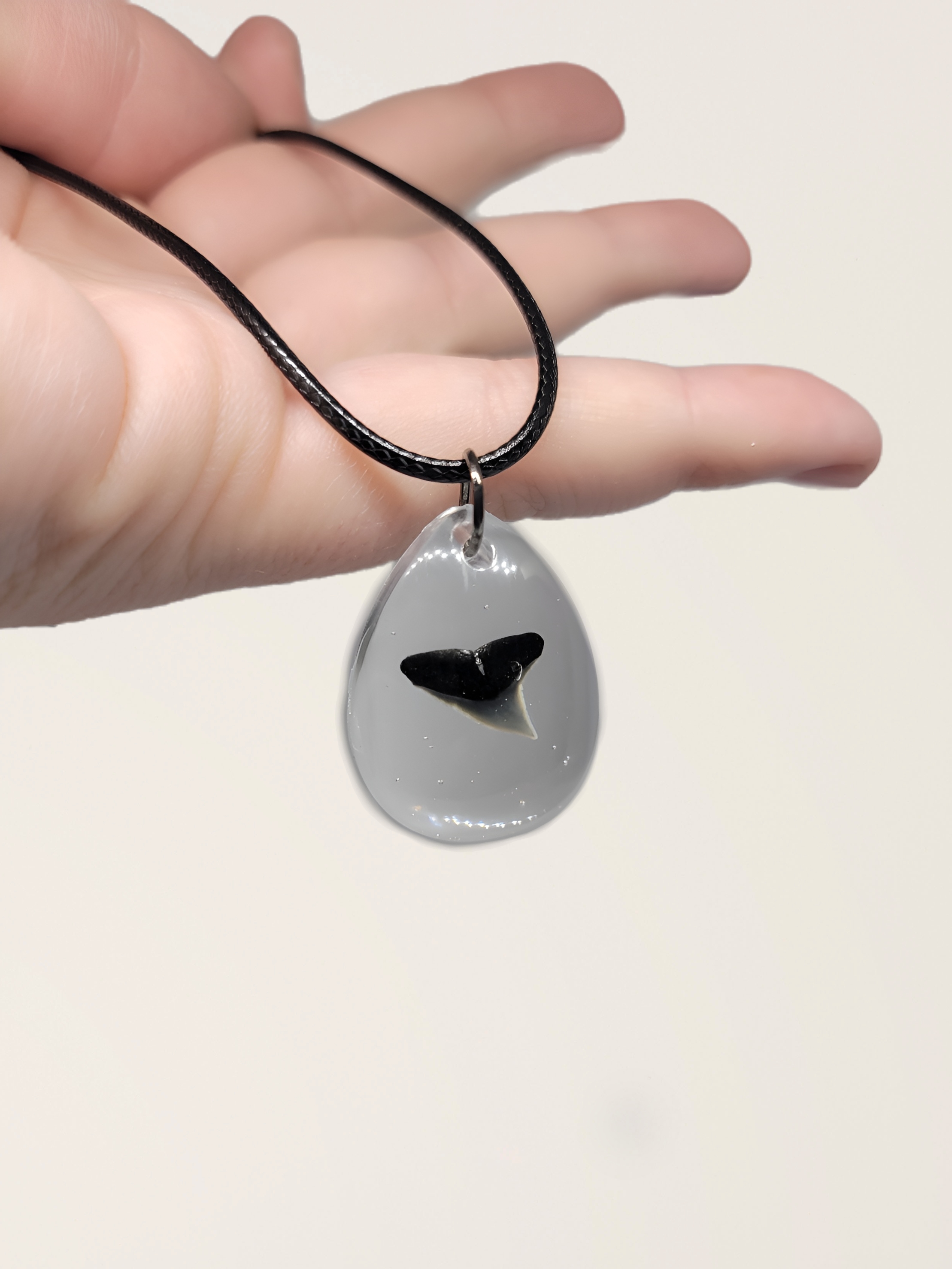 Shark Tooth Necklace