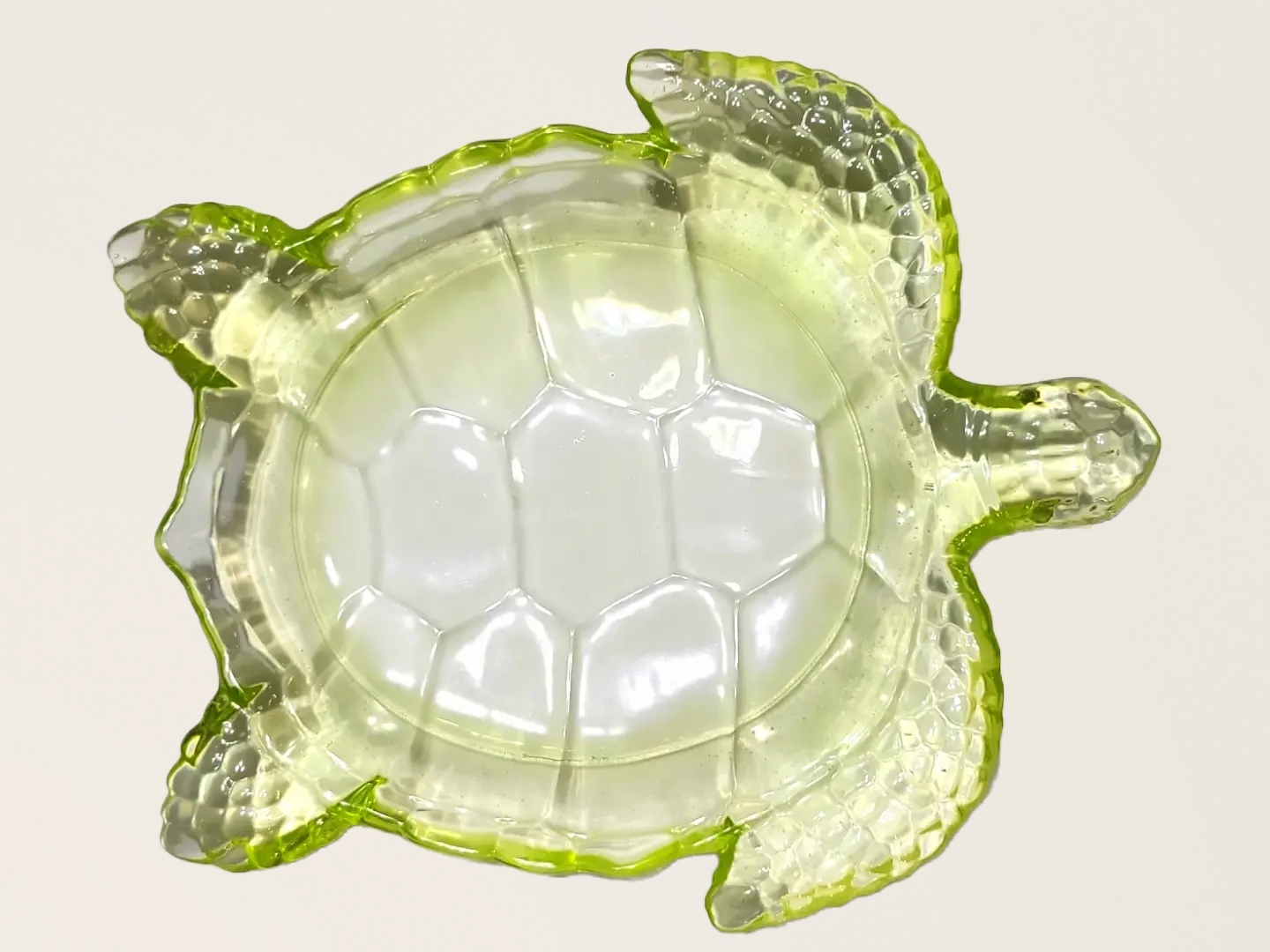 Sea Turtle Tray