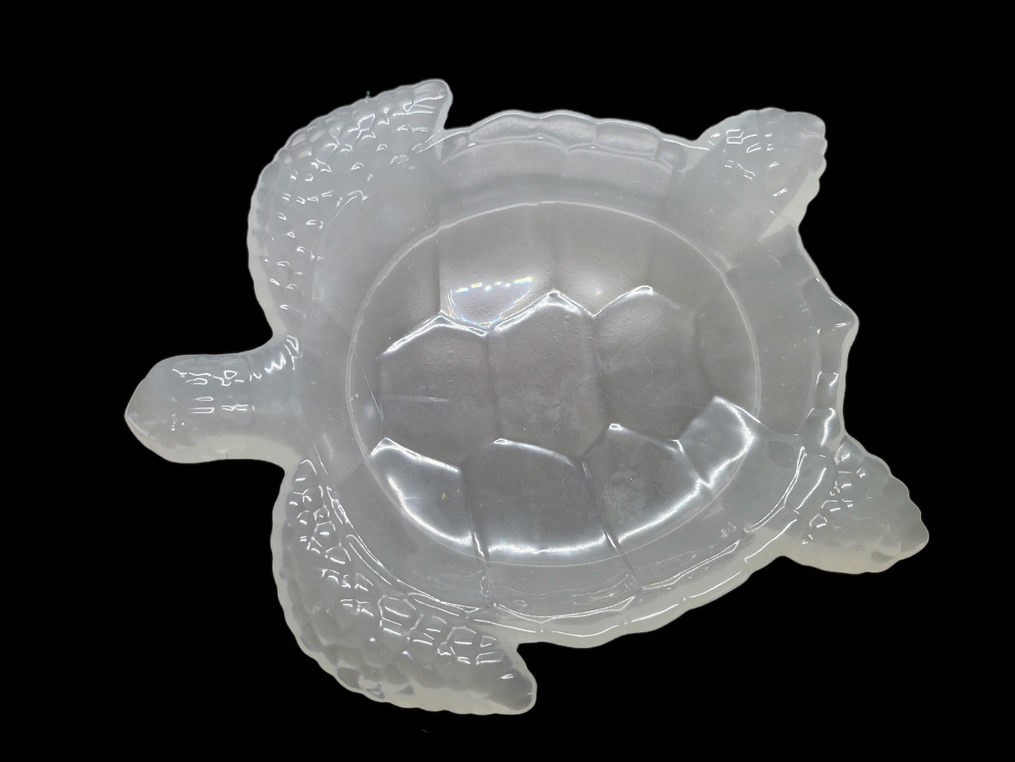 Sea Turtle Tray